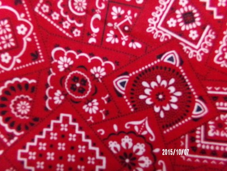 Bandanas !!!! 
